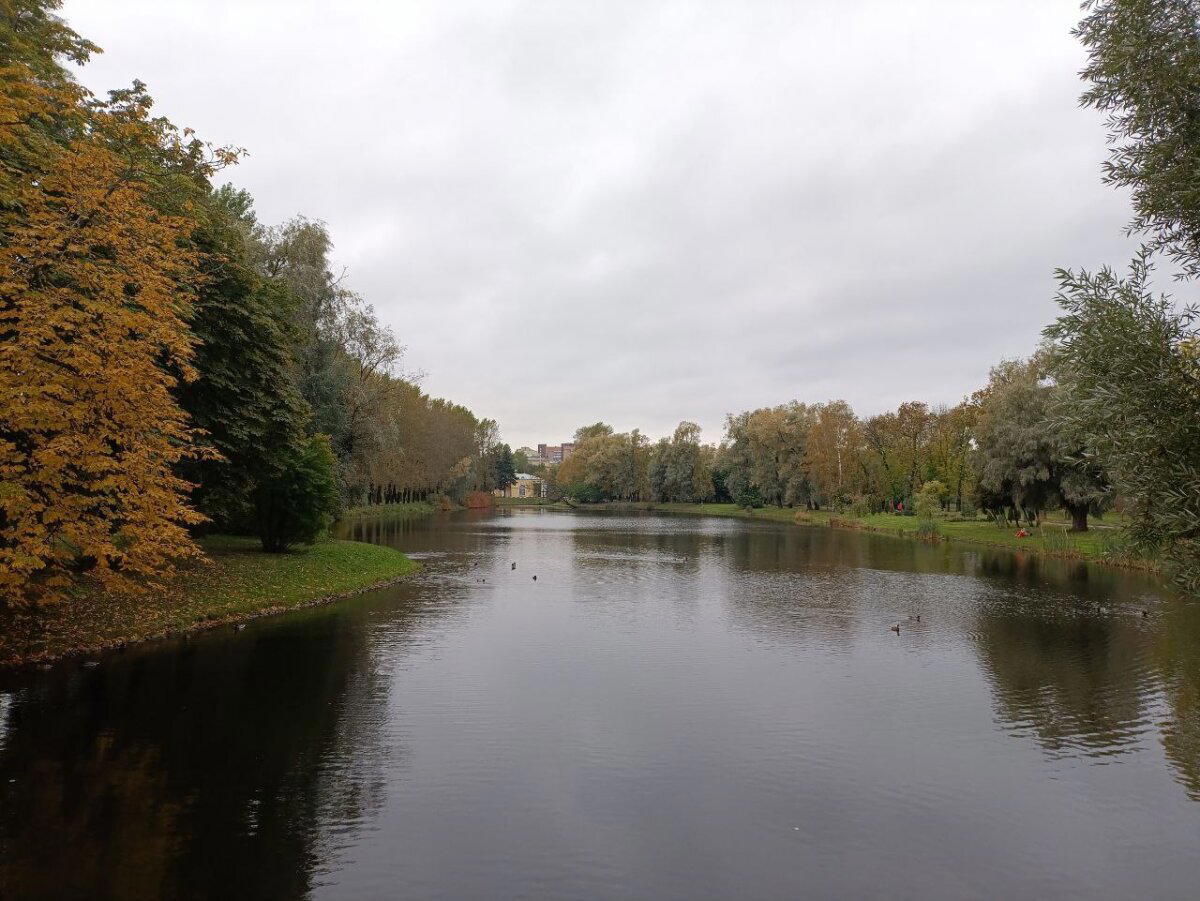 Мокро, темно и красиво