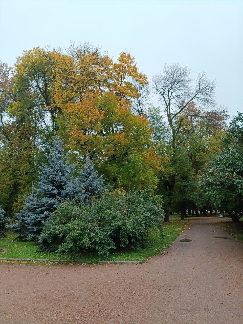Мокро, темно и красиво