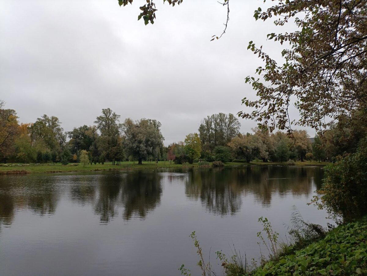 Мокро, темно и красиво