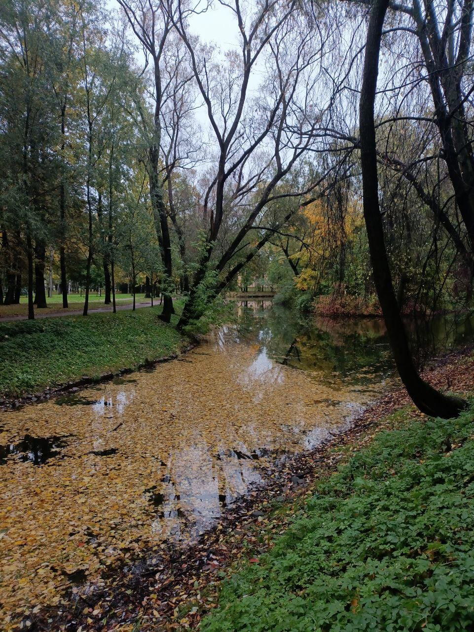 Мокро, темно и красиво