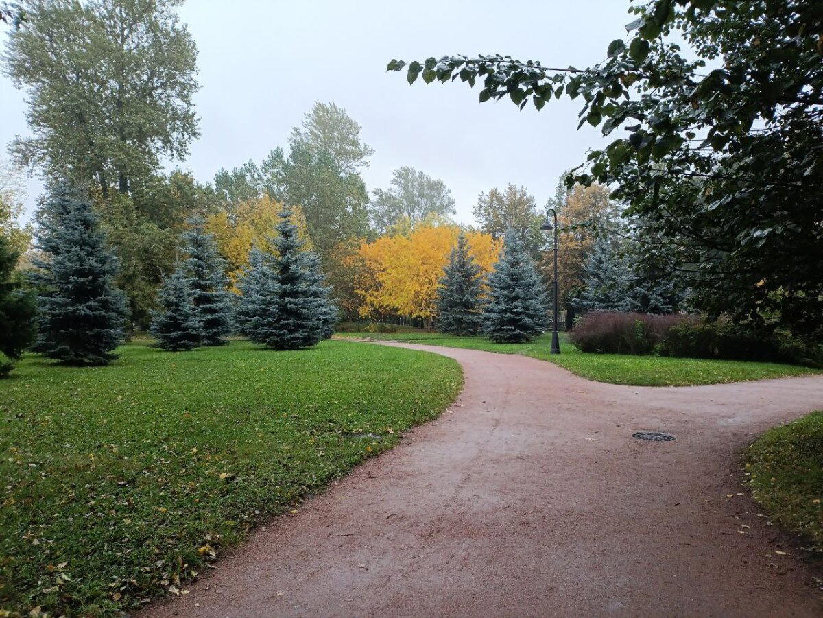 Мокро, темно и красиво