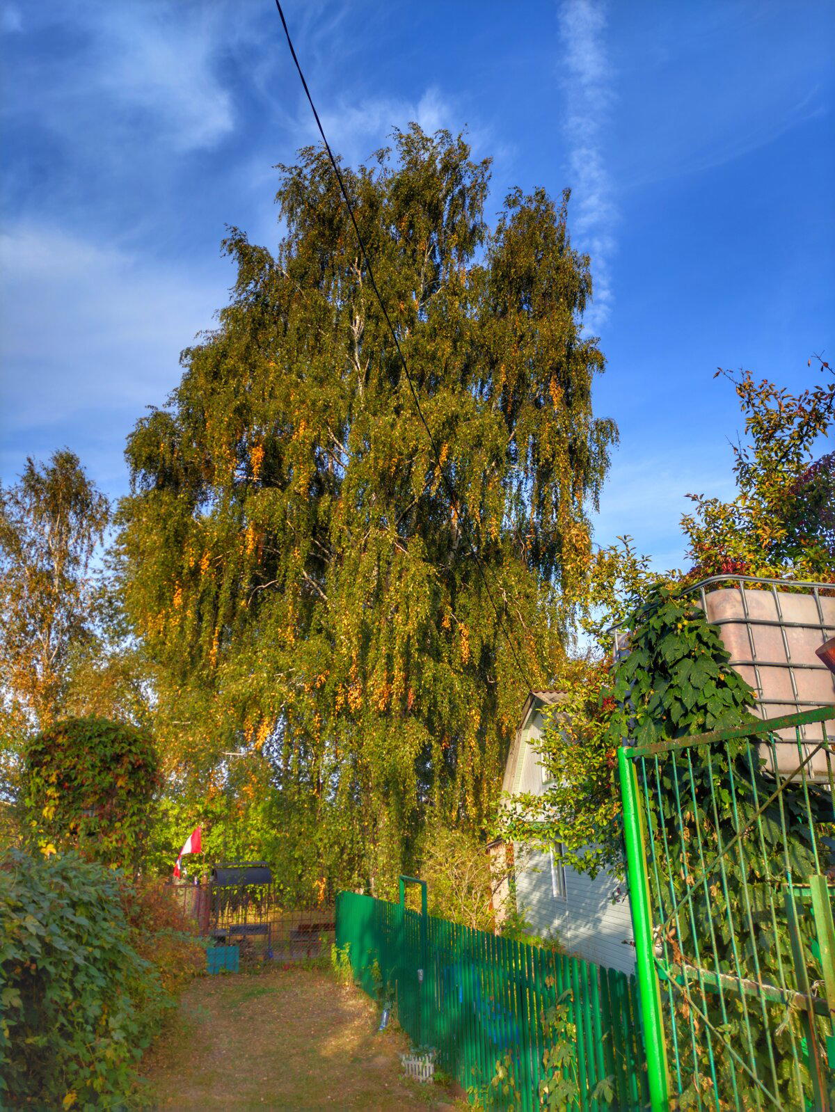 Золотая осень