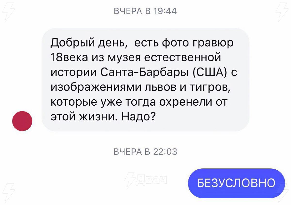 Выбери своё тотемное животное на РАБочую неделю
