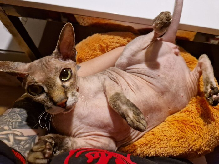 Плохо штоль? Хорошо!