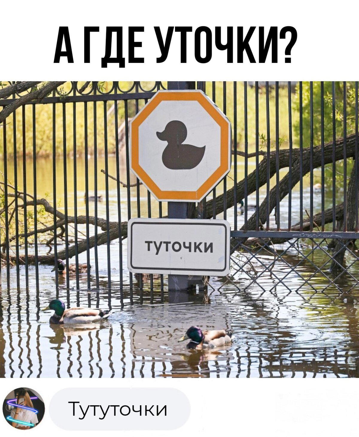 Туточки.