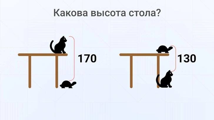 ChatGPT и аналоги решают загадку на фото (кошка и черепаха в шоках просто)