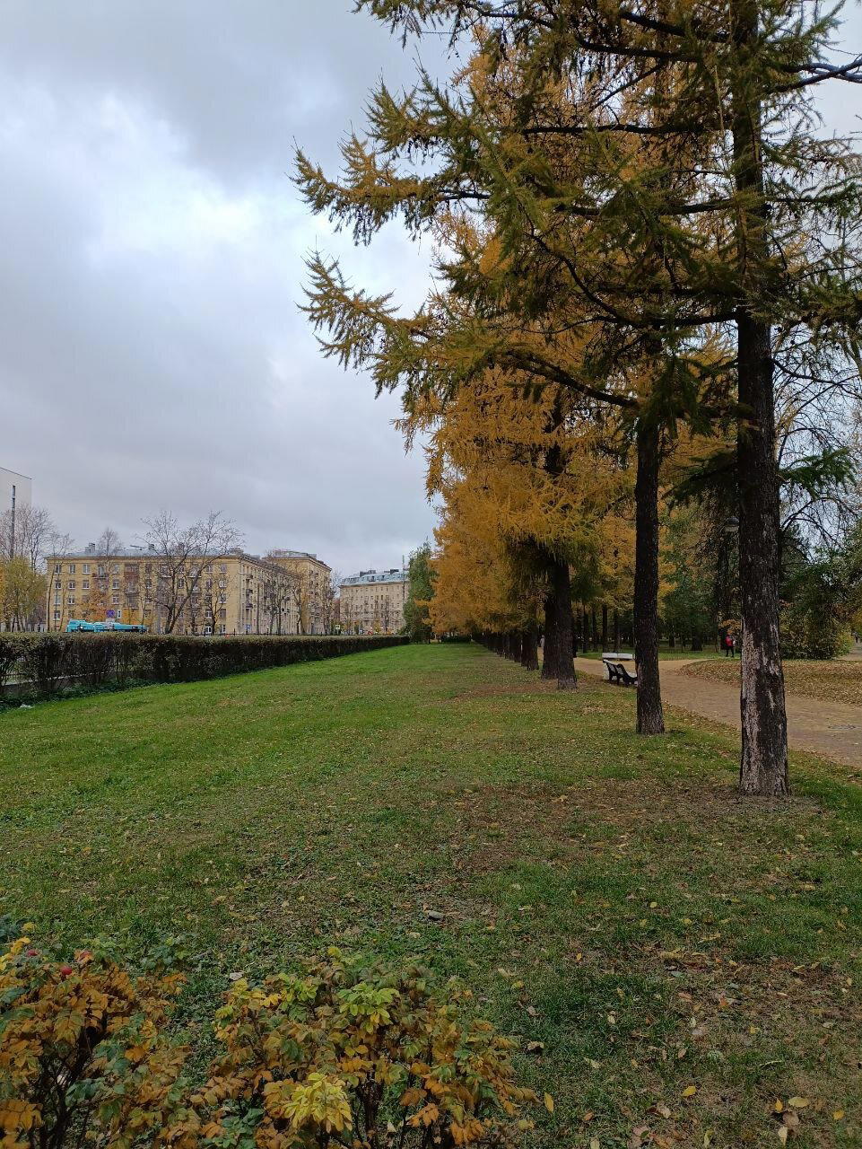 Краски раскраски. Осень. Фото.