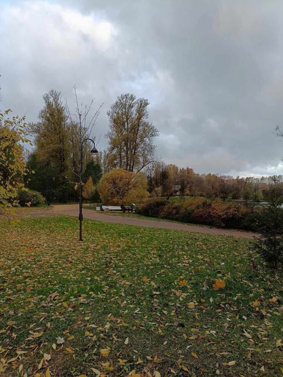 Краски раскраски. Осень. Фото.