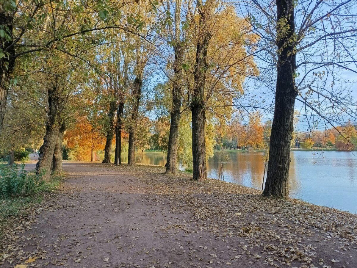 Краски раскраски. Осень. Фото.