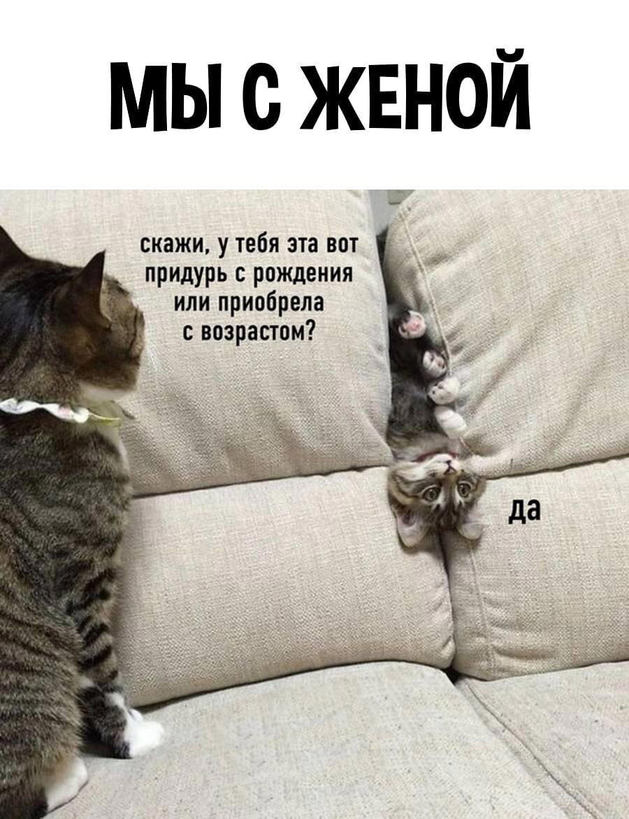 Мы с женой.