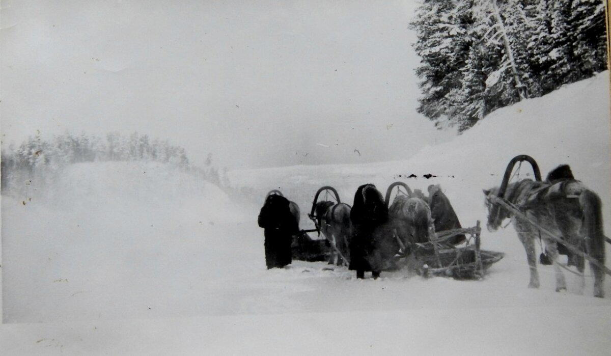 Первопроходцы, 1962 год.