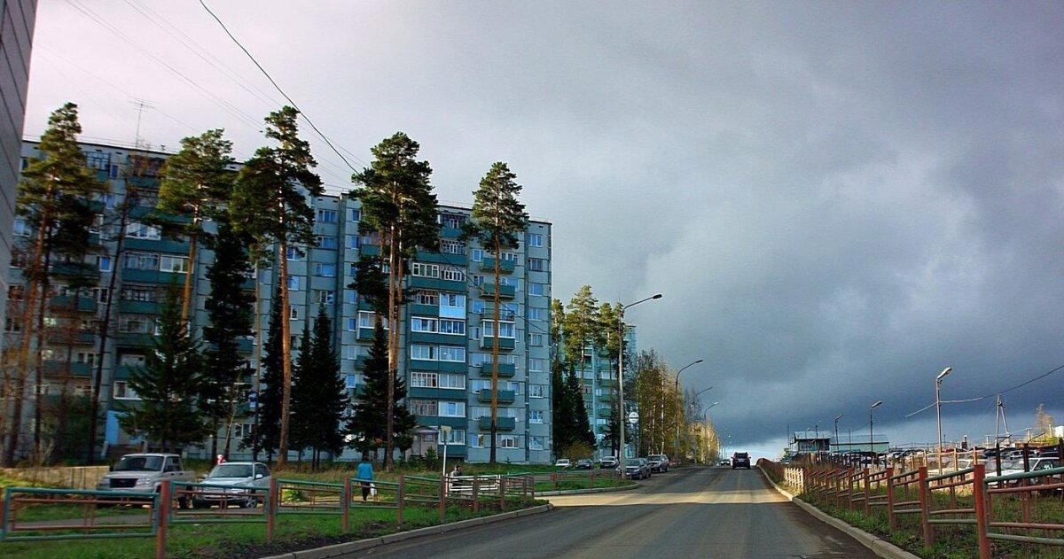 Сосны-великаны кругом)