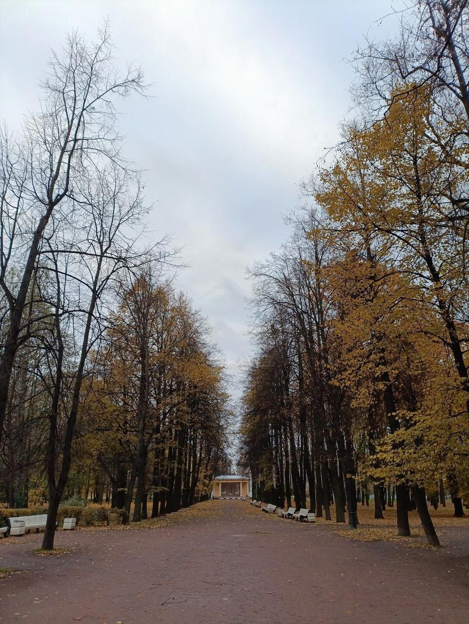 Ещё пушистые, но уже лысеют. Осень.