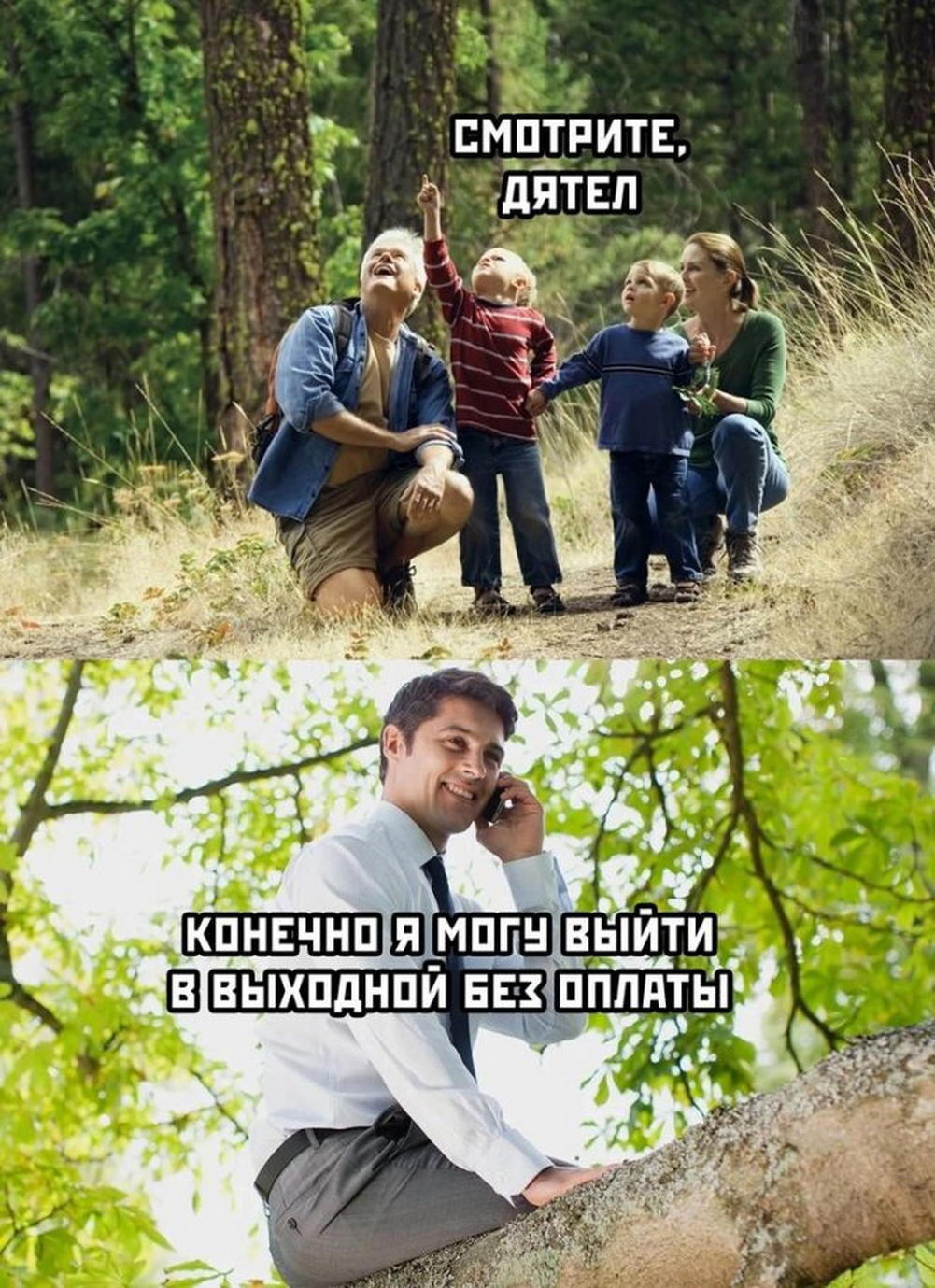 Дятел