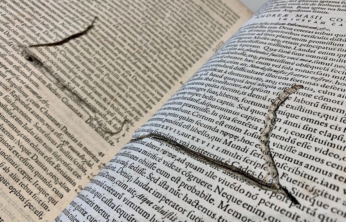 Книжная вошь