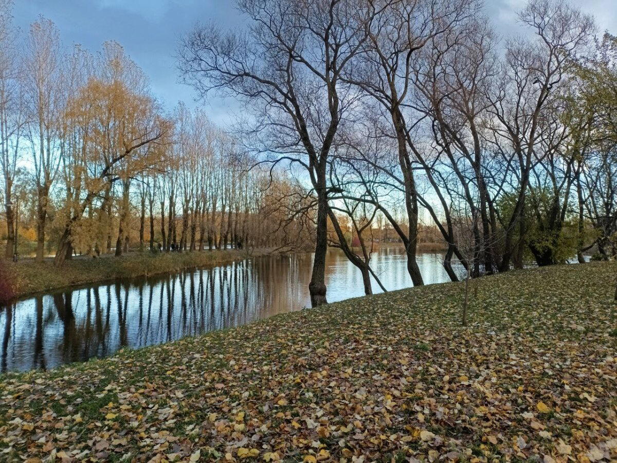Одно и тоже? Но всё же красиво. Осень.