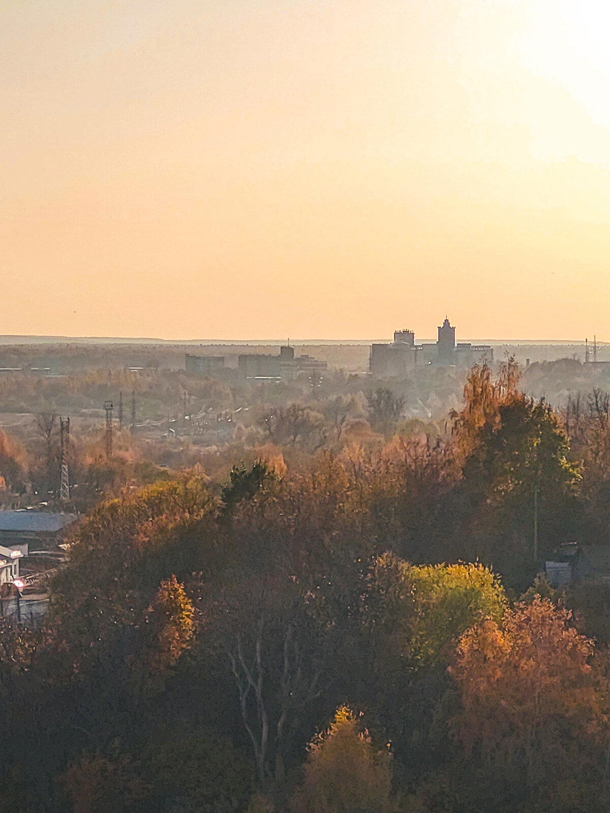 Владимирская осень в золоте