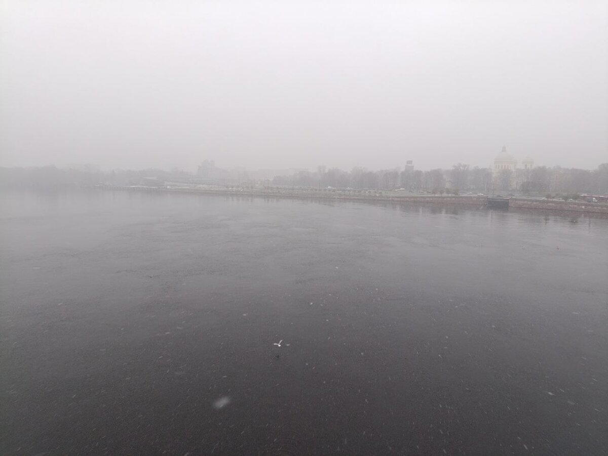 Началось? Осень? Мы тебя теряем? Фото.