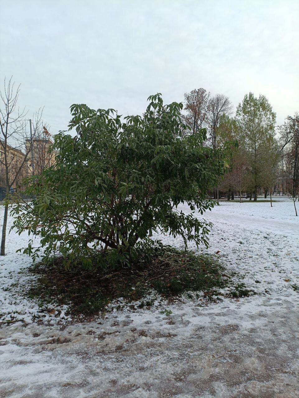 Началось? Осень? Мы тебя теряем? Фото.