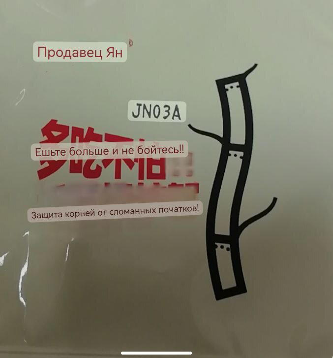 С одной стороны написано: ешьте больше и не бойтесь