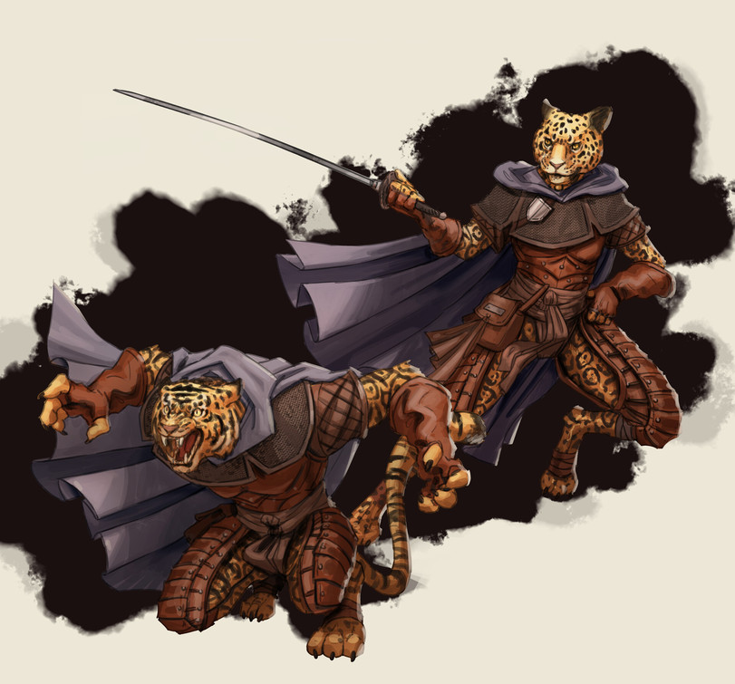 Персонажи Dungeons & Dragons от художника Bastien Aufrere