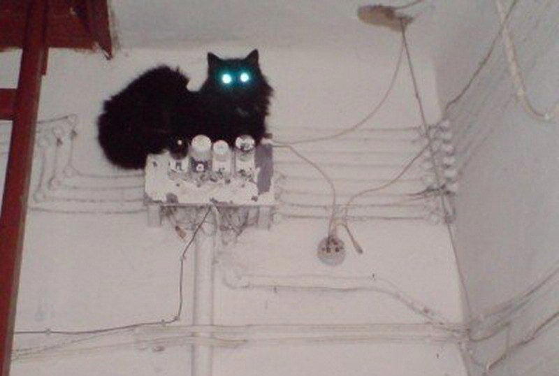 Два зеленых это что значит?