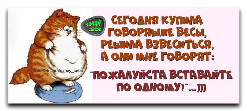 День "Встань на весы"