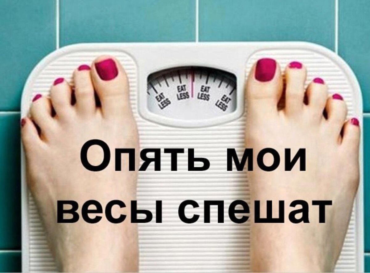 День "Встань на весы"