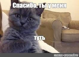 Ивент вомбата. Слово недели КОЛЛЕКТИВ