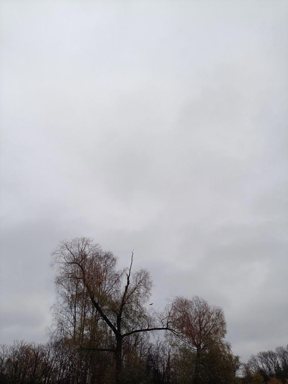 Серо, холодно, красиво. Фото.