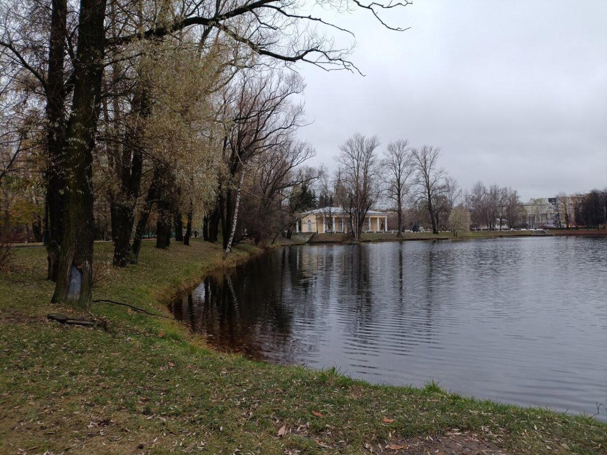 Серо, холодно, красиво. Фото.