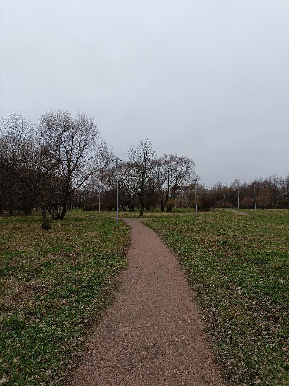 Серо, холодно, красиво. Фото.