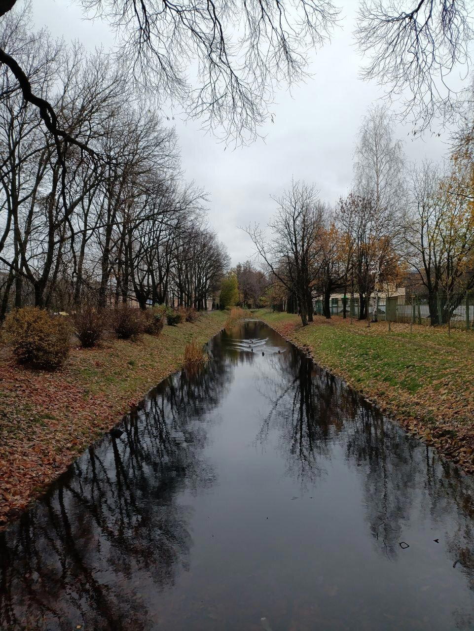 Серо, холодно, красиво. Фото.