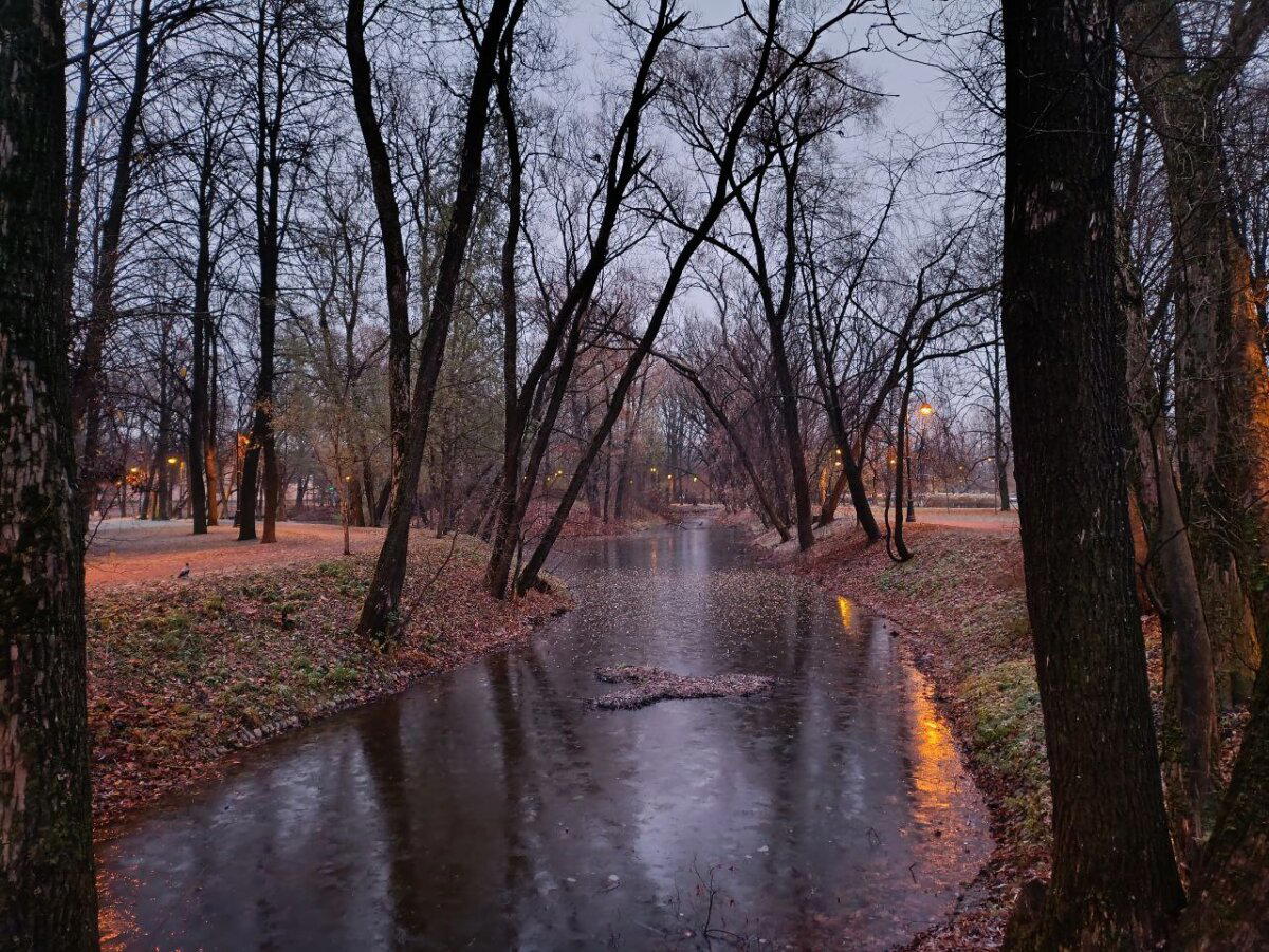 Серо, холодно, красиво. Фото.