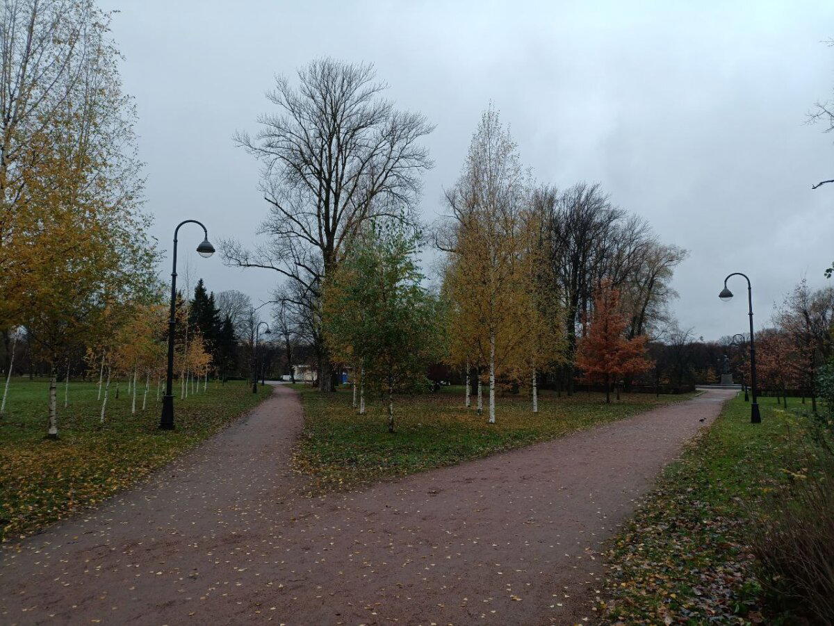 Серо, холодно, красиво. Фото.