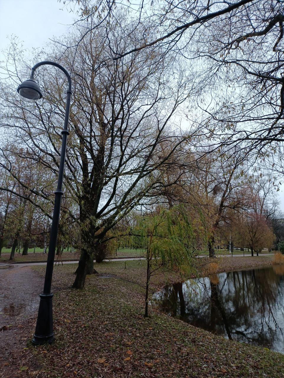 Серо, холодно, красиво. Фото.