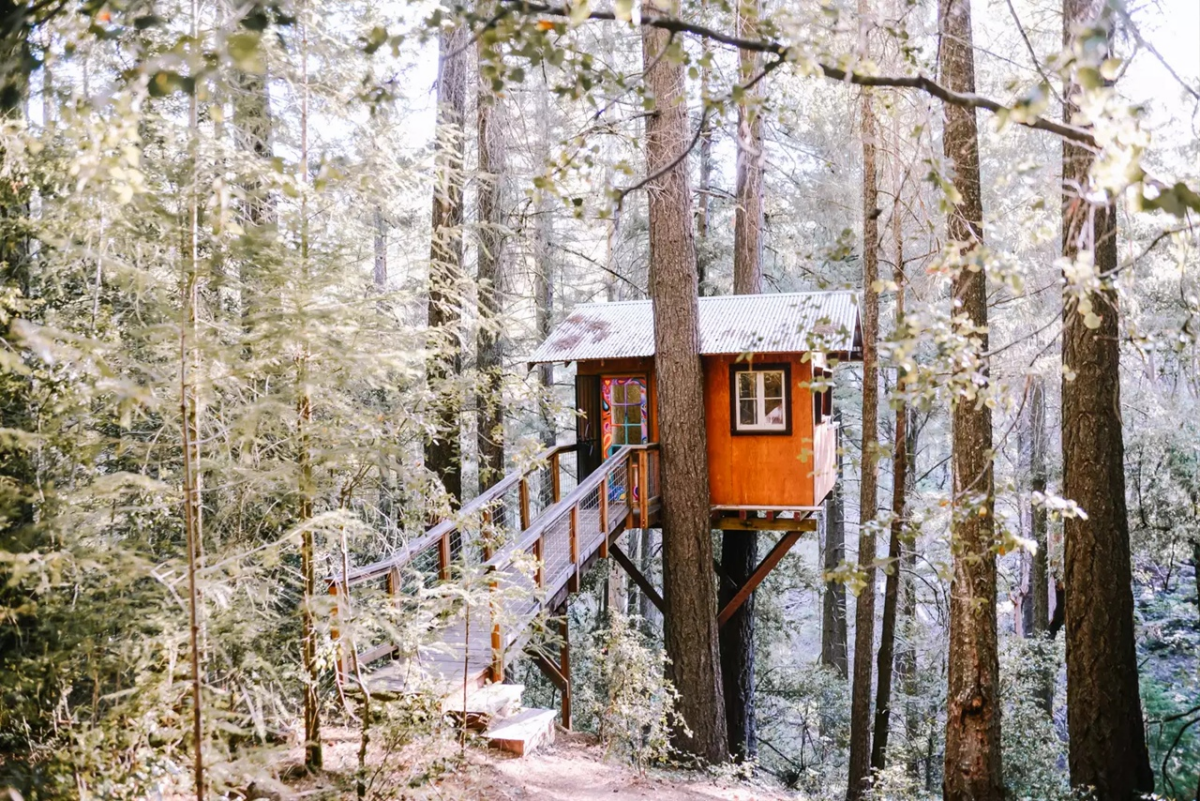 Крошечный дом на дереве Sanctuary Treehouse