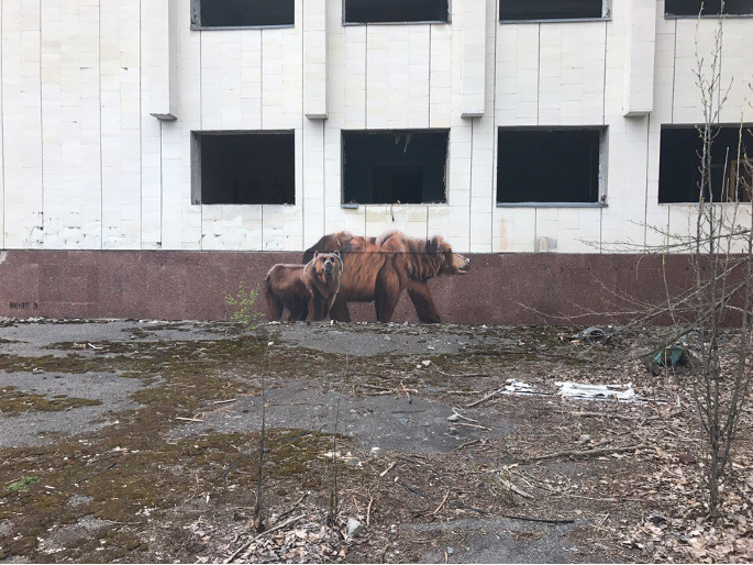 Припять. Часть 1.