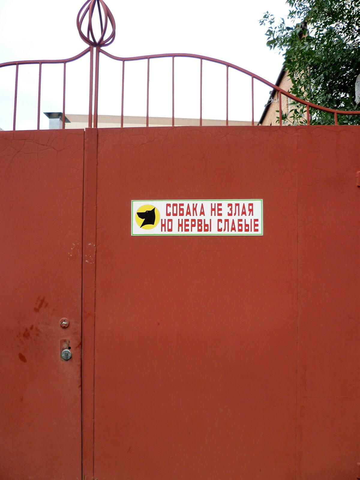 Ясно-понятно, что собака-добряка. Просто нервная немного