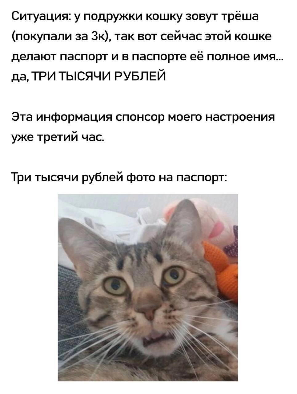 Три тысячи рублей.