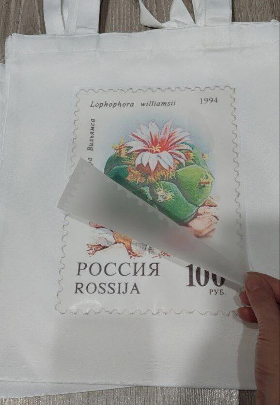 Шоперы с кактусов