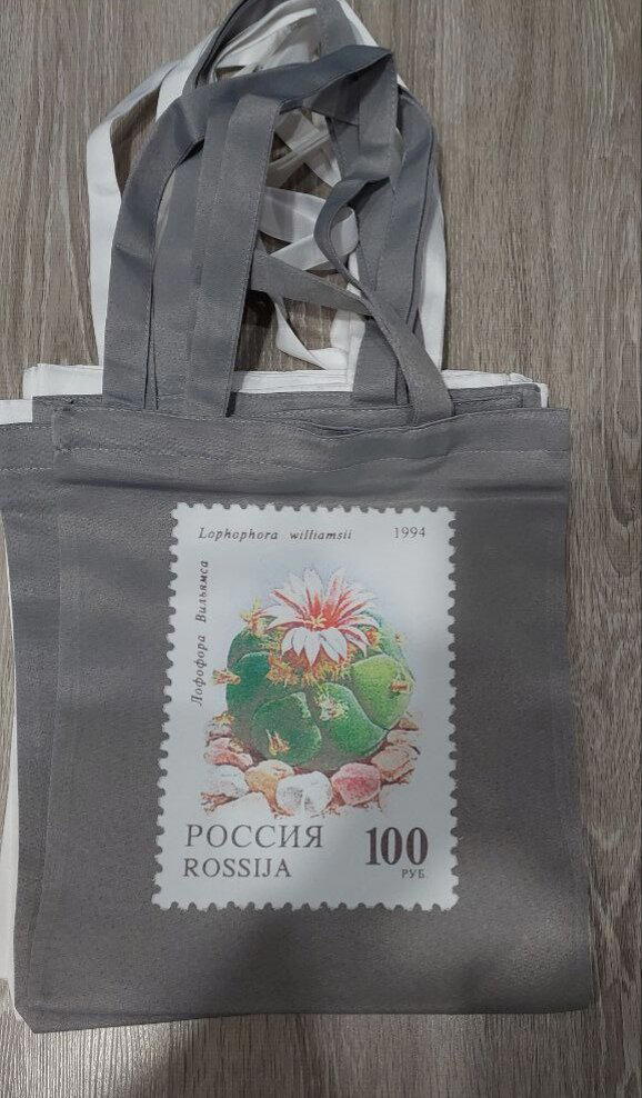 Шоперы с кактусов