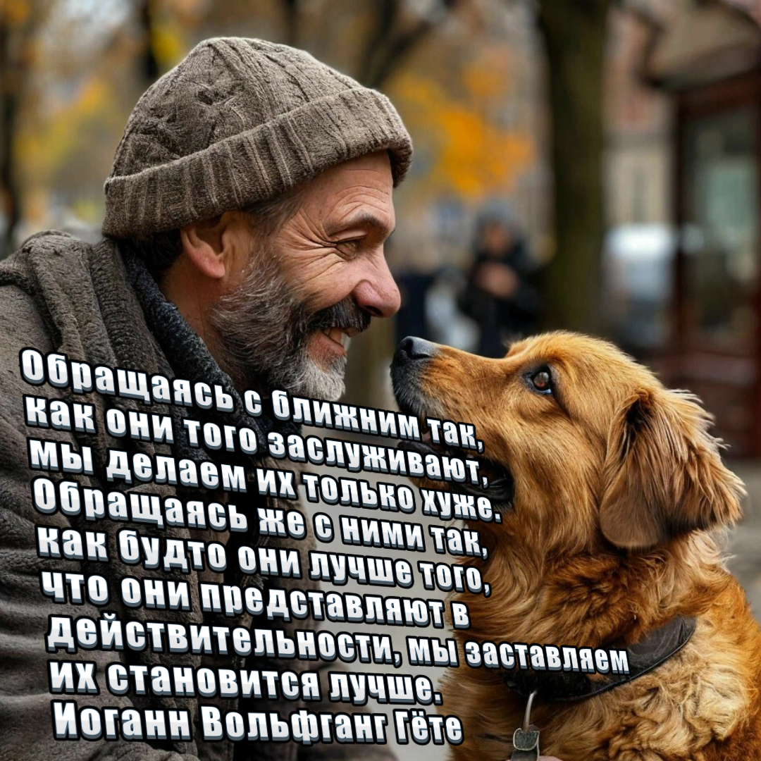 Цитринки)