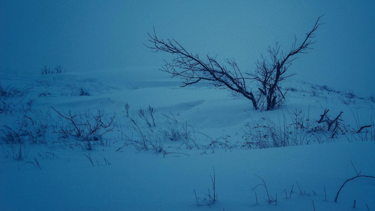 Ещё одна пачка фотографий снега