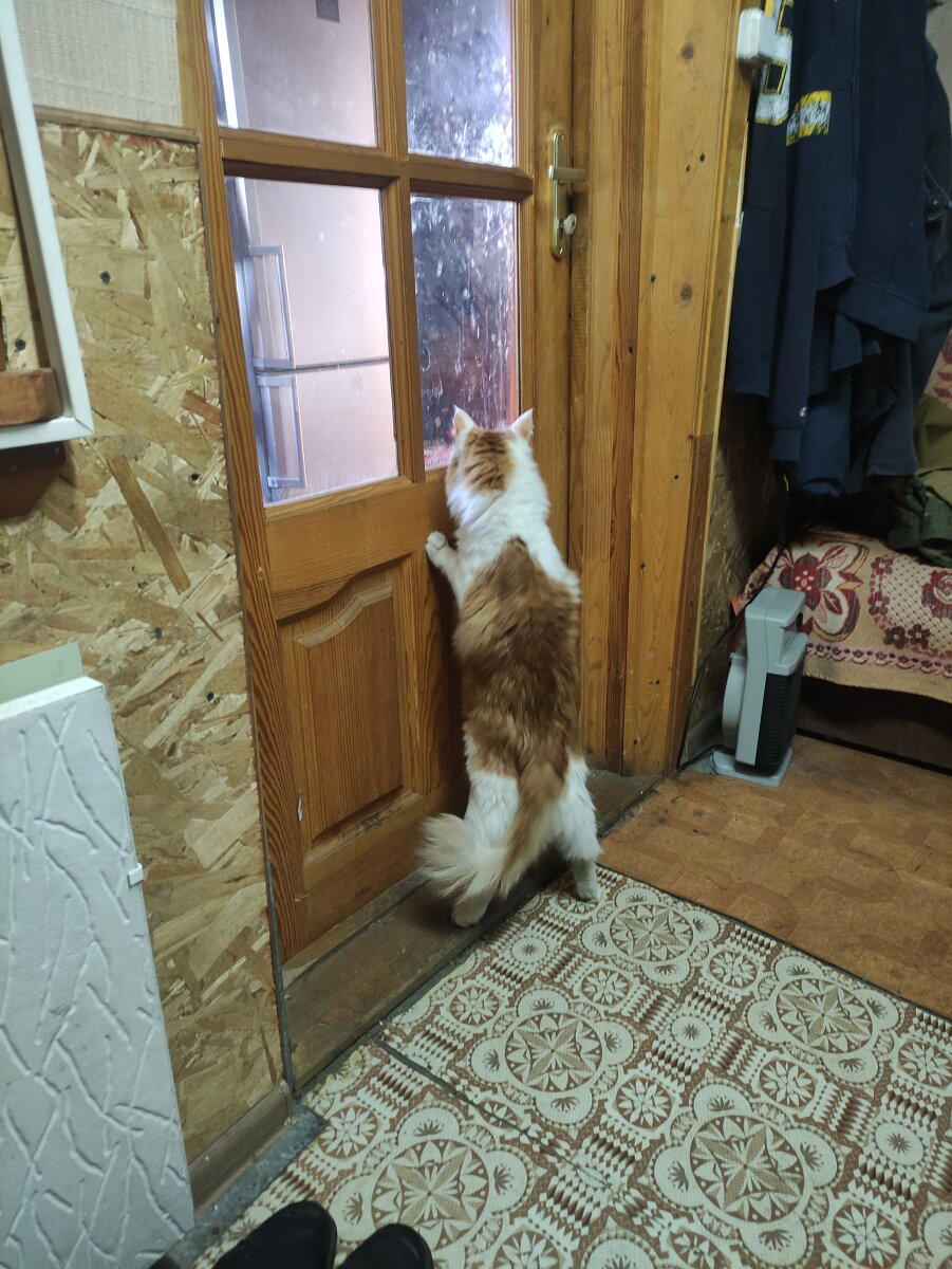 Зимняя дача