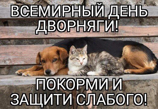 День дворняги