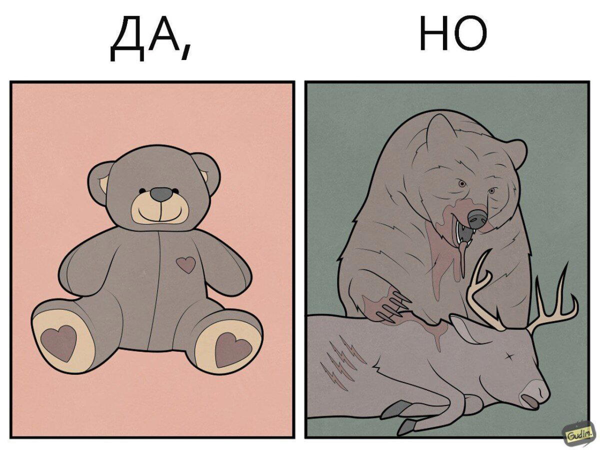 Медведи