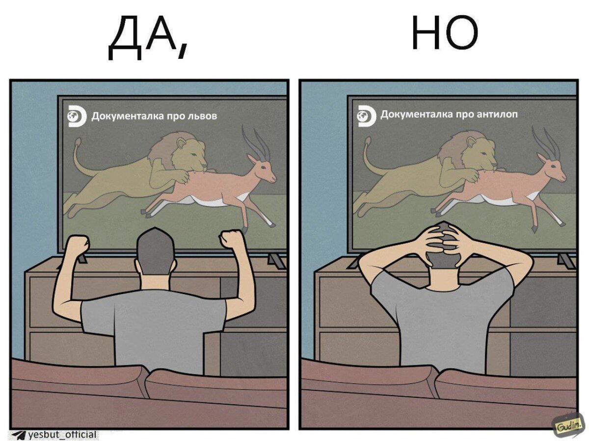 В мире животных
