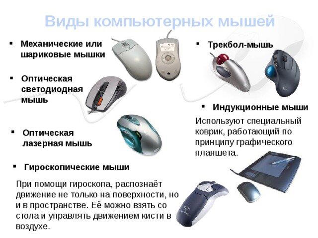 День рождения компьютерной мыши
