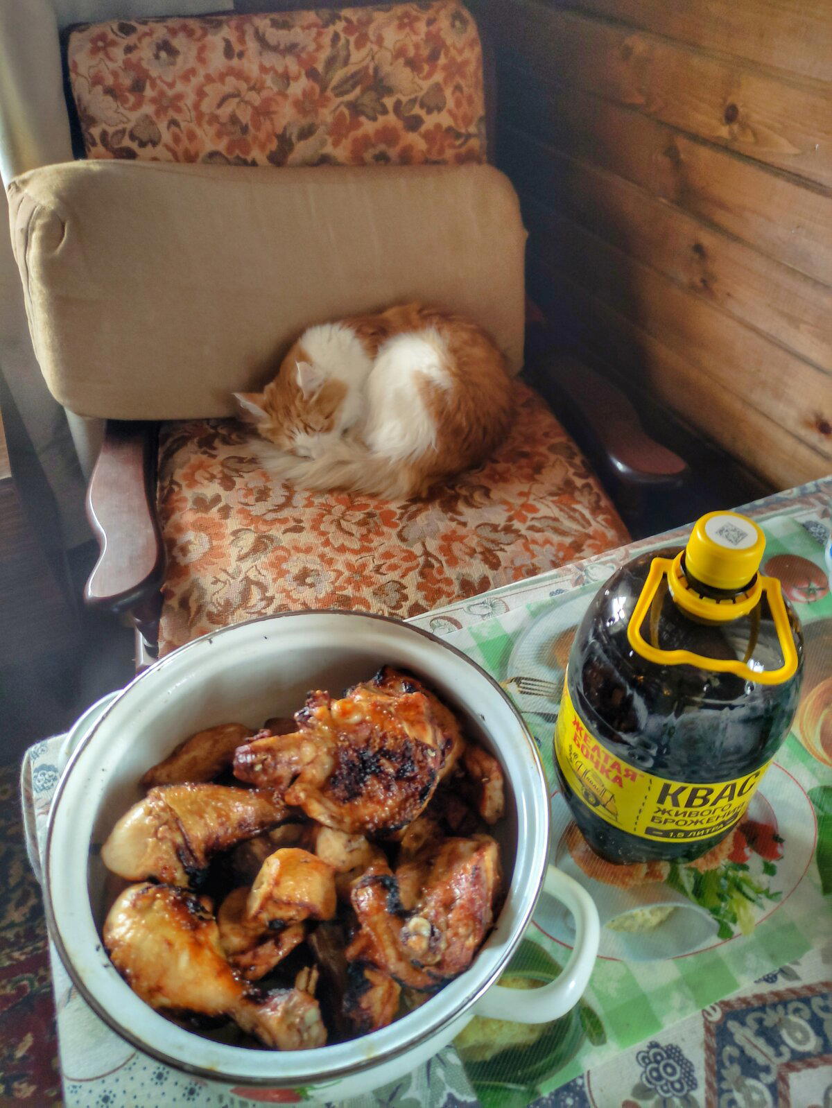 Кот охотник